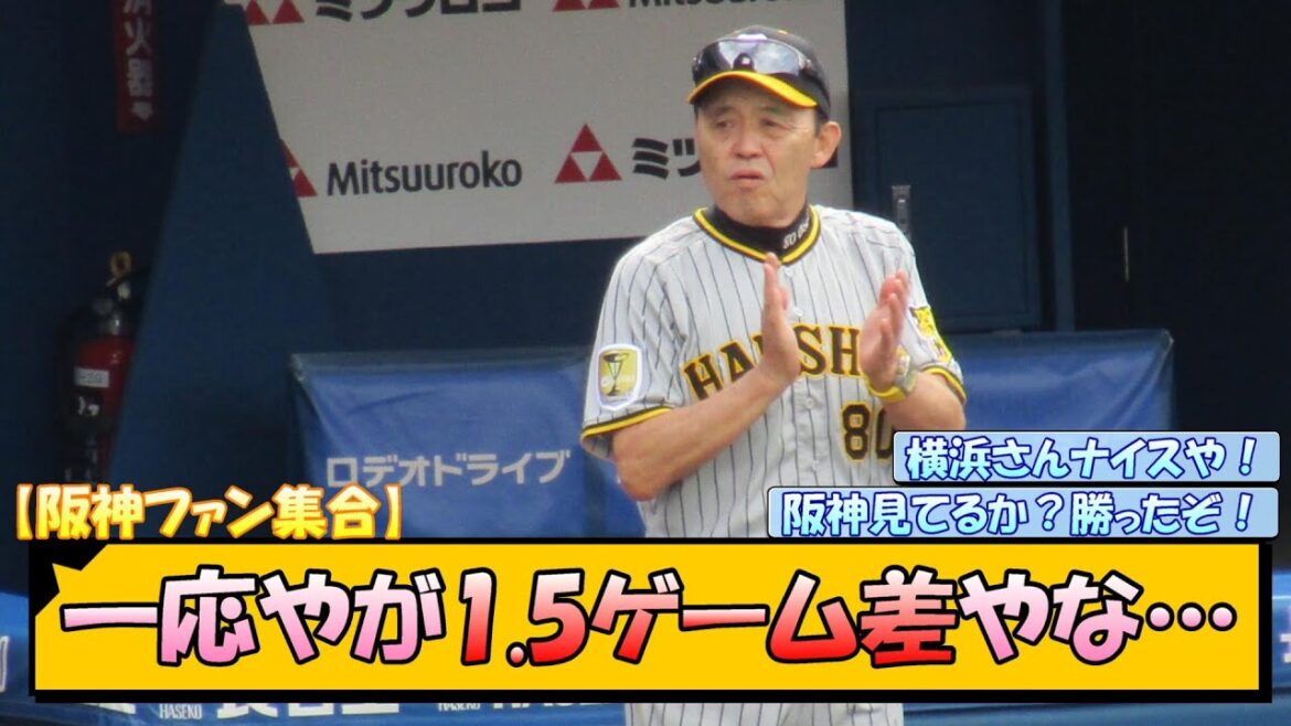 【阪神ファン集合】一応やが1.5ゲーム差やな…【なんJ/2ch/5ch/ネット 反応 まとめ/阪神タイガース/岡田監督/横浜denaベイスターズ/巨人】