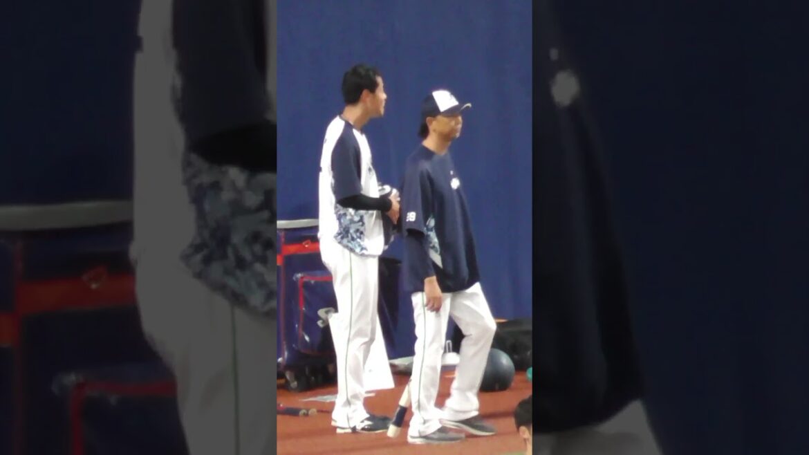 丸山 翔大 　2024/09/23 #npb 初勝利　#東京ヤクルトスワローズ #shorts