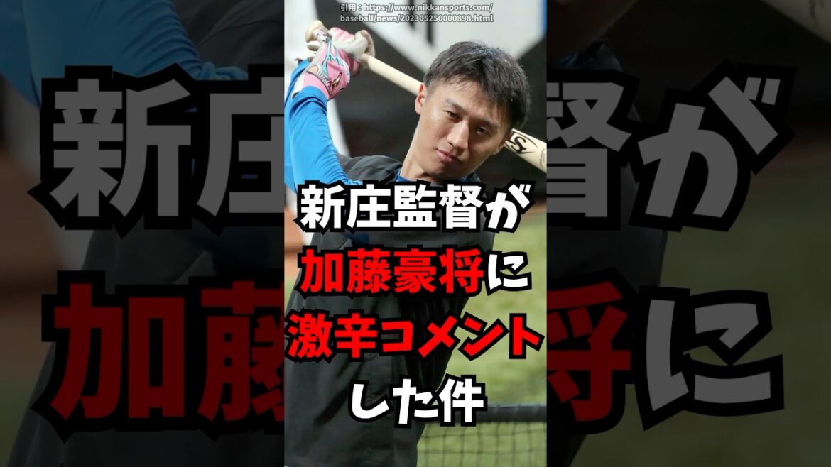 【日ハム】新庄監督が加藤豪将に激辛コメントした話【北海道日本ハムファイターズ】　#北海道日本ハムファイターズ　#新庄監督　#加藤豪将　#プロ野球