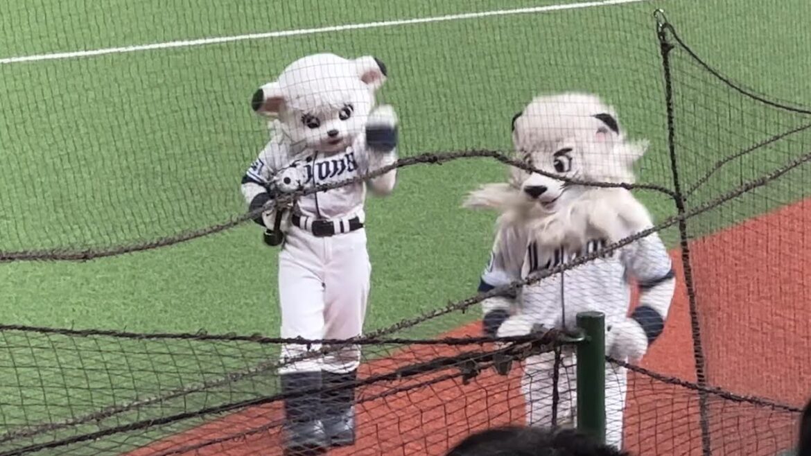 ライナちゃん バズーカ3発全て成功で会心のガッツポーズ4連発!【ファーム 西武vsヤクルト】2024/9/24 ライナちゃん バズーカ3発全て成功で会心のガッツポーズ4連発!【ファーム 西武vsヤクルト】2024/9/24