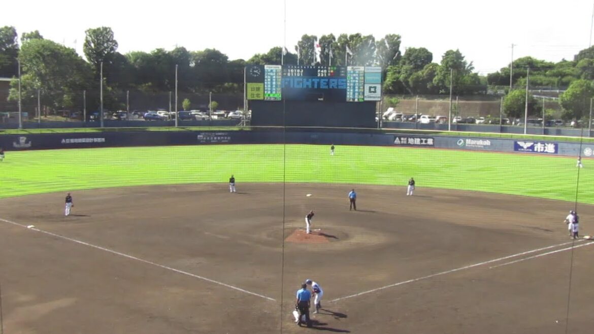 【ファイターズ】濱田泰希 右飛の後 細川凌平がフォアボールを選ぶ（2024年9月11日 日本ハムファイターズ 対 千葉ロッテマリーンズ 鎌ヶ谷）