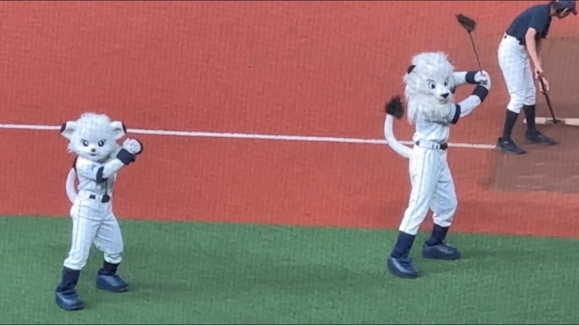 【今日のスタメンは説明欄に】左打席のバッティング練習するレオとライナ(お手本は滝澤夏央) ➡︎円陣参加【西武vs日本ハム】2024/9/23