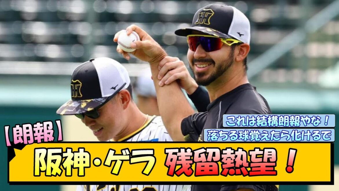 【朗報】阪神・ゲラ　残留熱望！【なんJ/2ch/5ch/ネット 反応 まとめ/阪神タイガース/岡田監督】