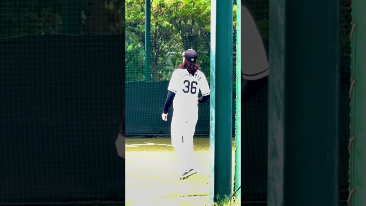 2024/9/24 坂本光士郎 キャッチボール ロッテ浦和球場 #chibalotte