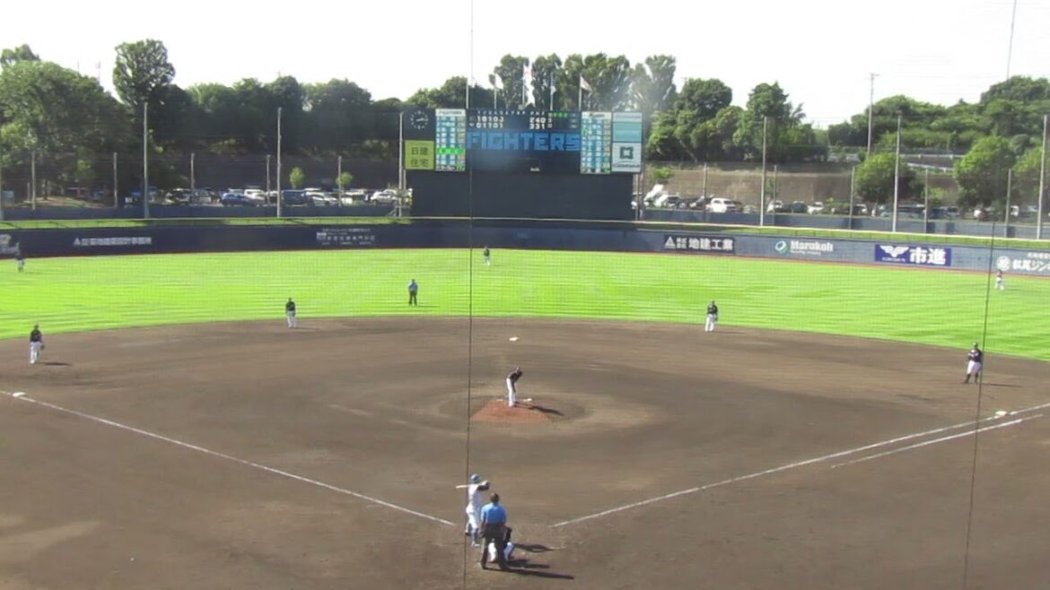 【ファイターズ】今川優馬がフォアボールを選び一塁へ（2024年9月11日 日本ハムファイターズ 対 千葉ロッテマリーンズ 鎌ヶ谷）