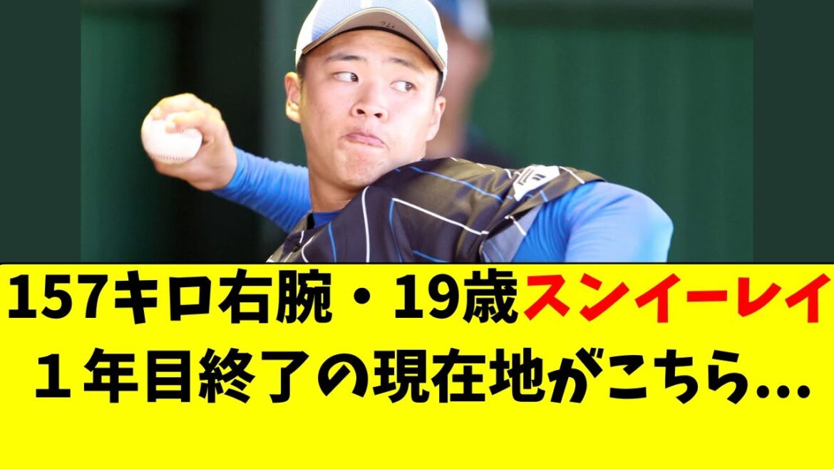 【日ハム】孫易磊（スン・イーレイ）の最新の状況がこちら