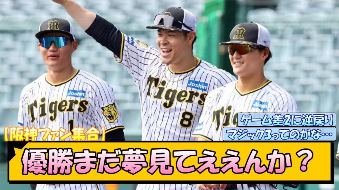 【阪神ファン集合】優勝まだ夢見てええんか？【なんJ/2ch/5ch/ネット 反応 まとめ/阪神タイガース/岡田監督】