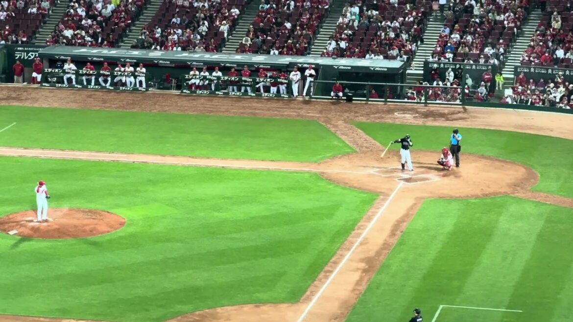 オリックス 西川龍馬 応援歌 決然 2024/5/28 マツダスタジアム