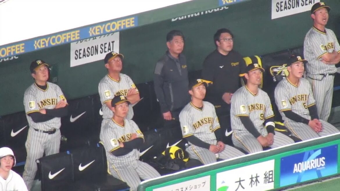 タイガースベンチ ピンチの時 植田海や熊谷敬宥などの様子＜読売ジャイアンツ 対 阪神タイガース2024年7月16日＞