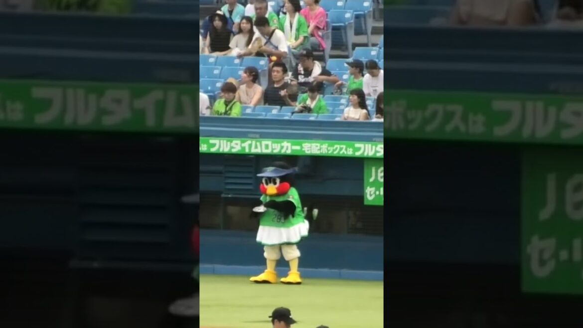 つばみ、うちわをいきなり食べ出す #東京ヤクルトスワローズ #shorts