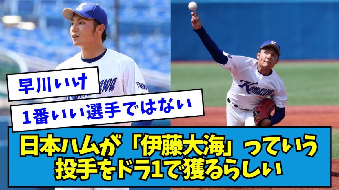 【2020年】日本ハムが「伊藤大海」っていう投手をドラフト1位で獲るらしい【なんJ反応】