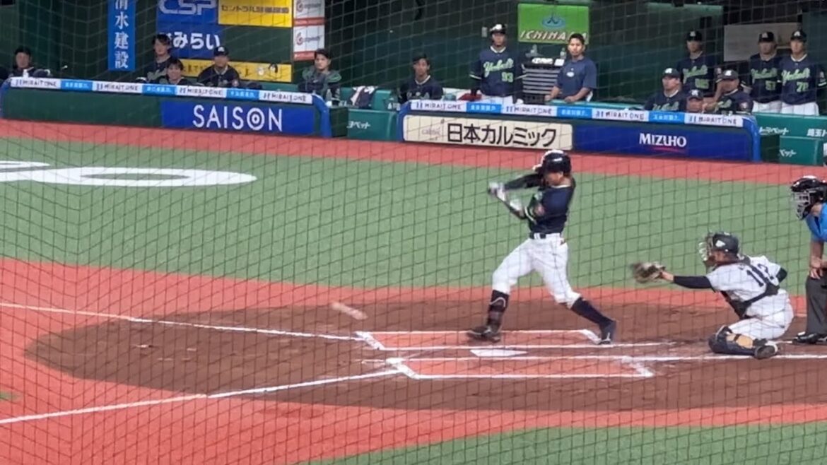 現役引退を発表した山崎晃大朗 本日最終打席【ファームサンクスデー 西武vsヤクルト】2024/9/25