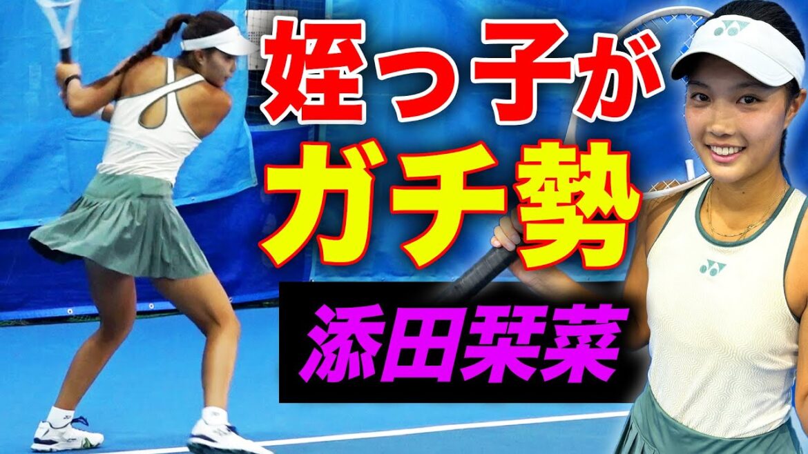 監督が連れてきた親戚の子が、めちゃくちゃ強いジュニアでした【デビスカップ直前企画】【添田栞菜ちゃん&添田豪プロ】 監督が連れてきた親戚の子が、めちゃくちゃ強いジュニアでした【デビスカップ直前企画】【添田栞菜ちゃん&添田豪プロ】