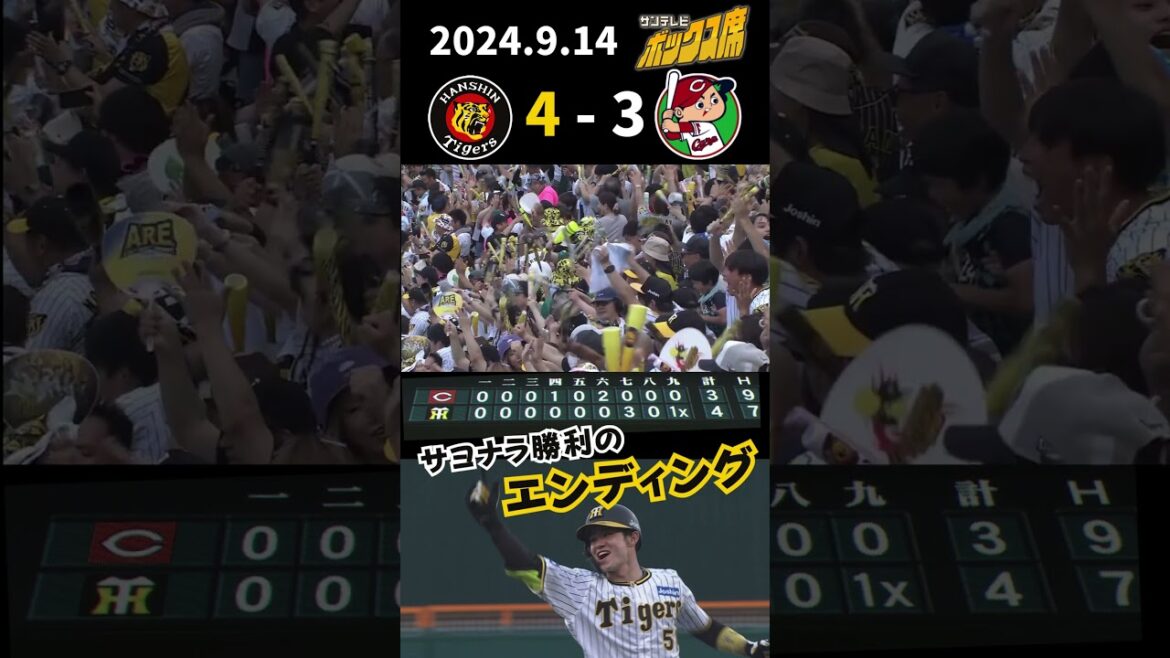 【選手会長の意地!】サヨナラ勝利のエンディング(2024年9月14日 阪神-広島)#サンテレビボックス席 【選手会長の意地!】サヨナラ勝利のエンディング(2024年9月14日 阪神-広島)#サンテレビボックス席