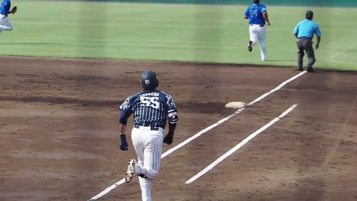 2024.09.01 埼玉西武-横浜DeNA #コルデロ 打席シーン (カーミニーク)