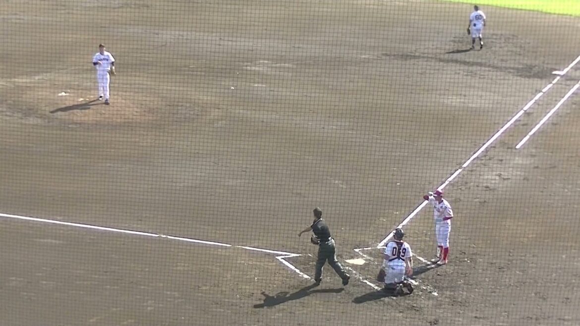 信濃グランセローズ 馬場愛己をファーストゴロ 巨人 菊田拡和の守備（2024年9月12日 読売ジャイアンツ3軍 対 BCL選抜）