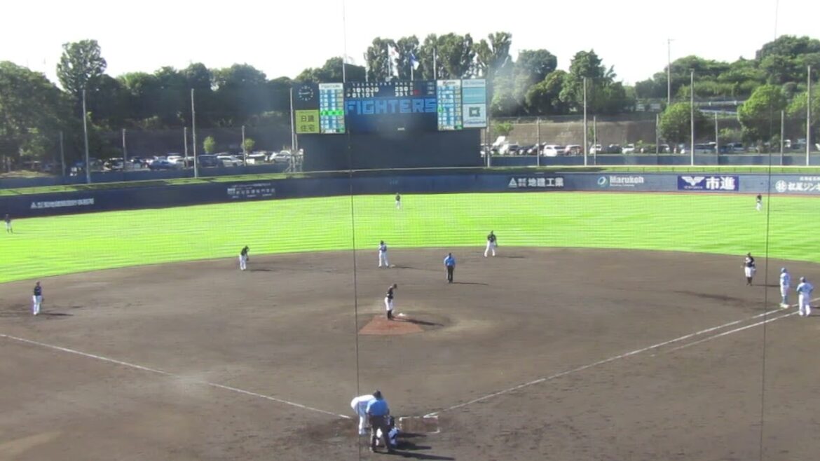 【ファイターズ】有薗直輝がヒットを放って清水優心の場面（2024年9月11日 日本ハムファイターズ 対 千葉ロッテマリーンズ 鎌ヶ谷）