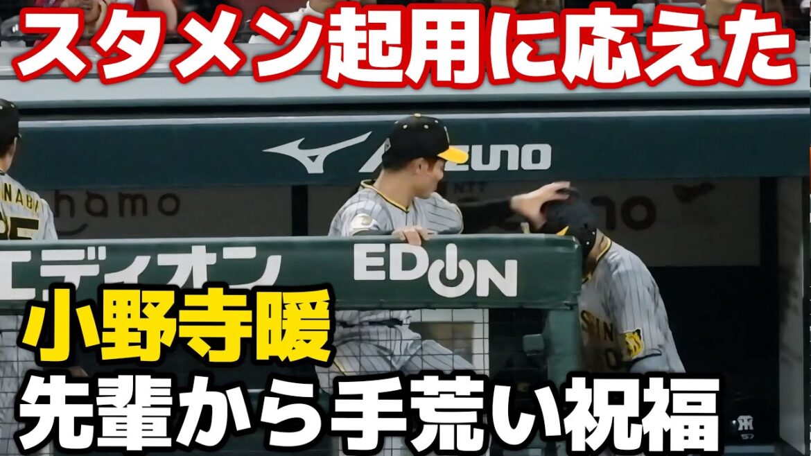 【大活躍じゃねえか！？】スタメン抜擢でマルチ安打！坂本からヘルメットを叩かれるなど活躍した小野寺をニッコニコで祝福する阪神ナイン 2024.8.23