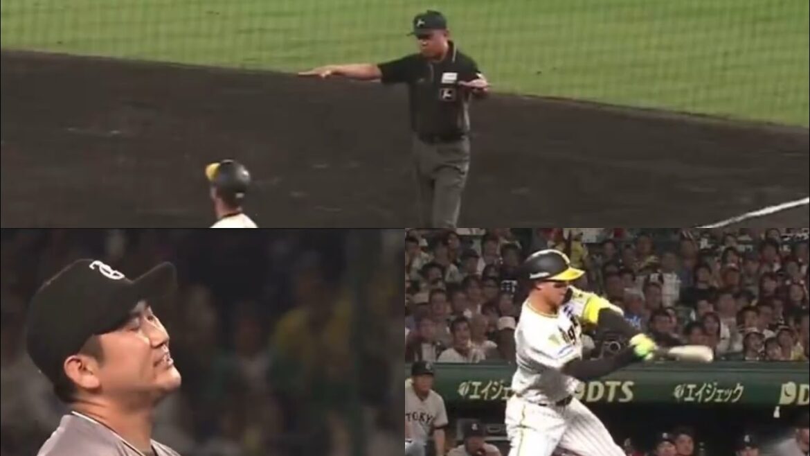 【菅野苦笑い】 一塁審 吉本文弘さんの疑惑の判定シーン (2024/09/22)
