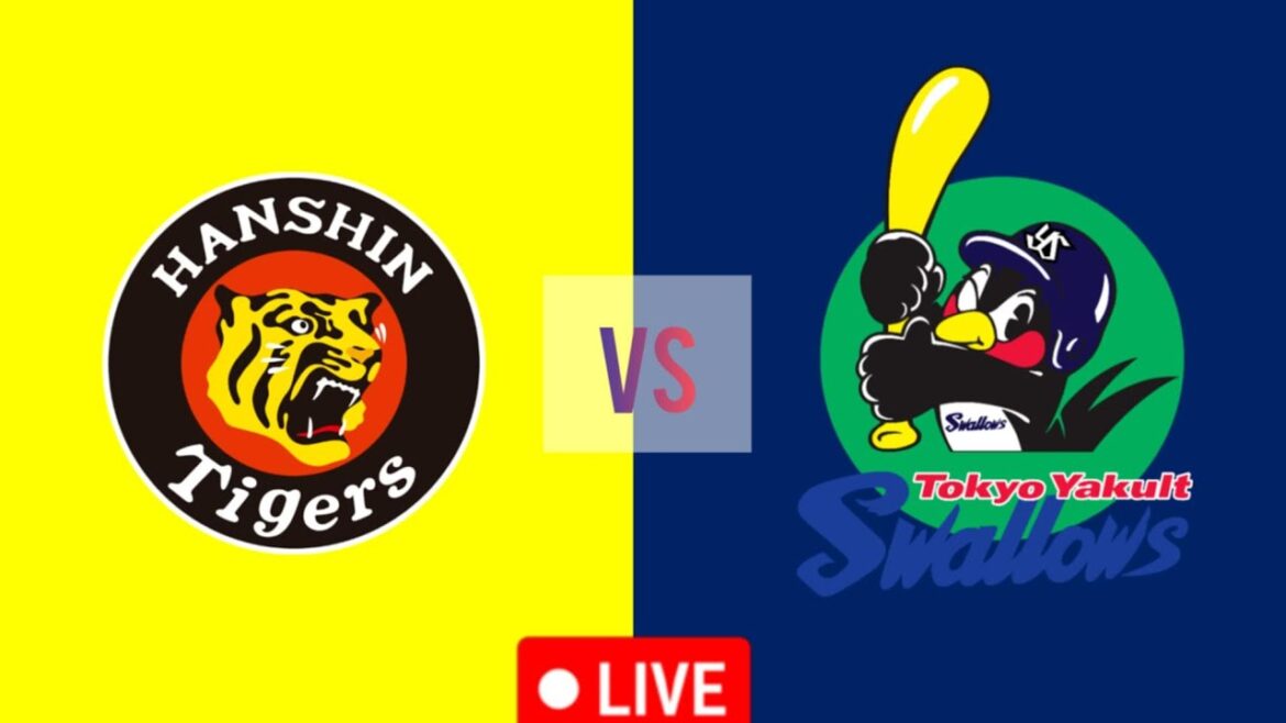 阪神タイガース vs 東京ヤクルトスワローズ野球試合 NPB 2024 阪神タイガース vs 東京ヤクルトスワローズ野球試合 NPB 2024
