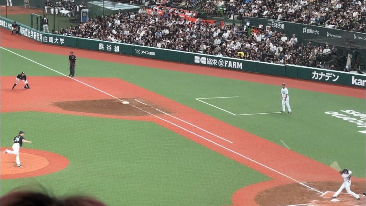 【8回裏】平沼翔太 2ベースタイムリー!【西武vsロッテ】2024/9/28 【8回裏】平沼翔太 2ベースタイムリー!【西武vsロッテ】2024/9/28