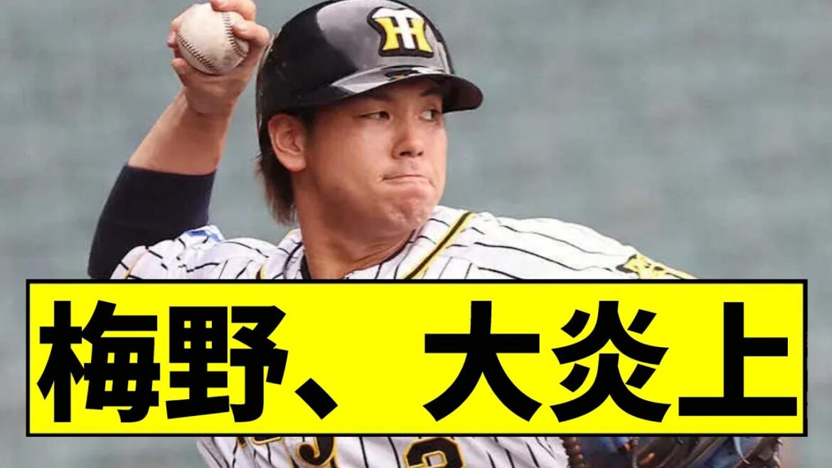 【阪神】梅野が大炎上してしまうｗｗｗｗｗｗｗｗｗｗ【2chスレ】