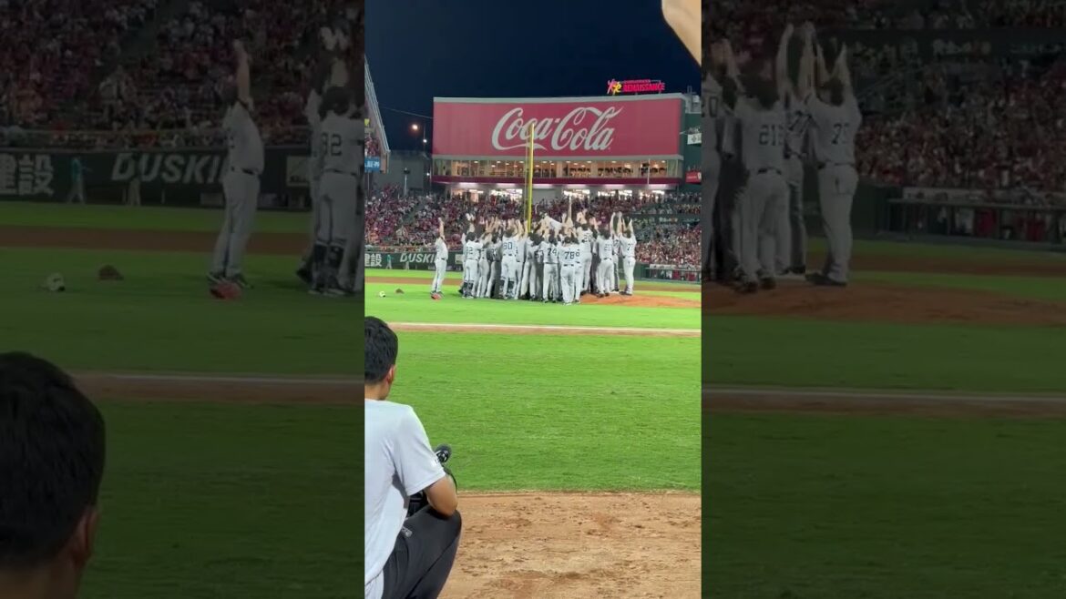 2024年 セ・リーグ優勝 阿部慎之助監督胴上げ！！！ #shorts