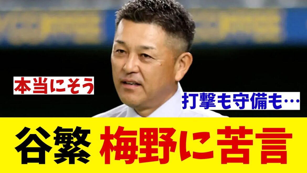 谷繁元信氏　阪神・梅野にはっきりゆうwwwwww【野球情報】【2ch 5ch】【なんJ なんG反応】【野球スレ】