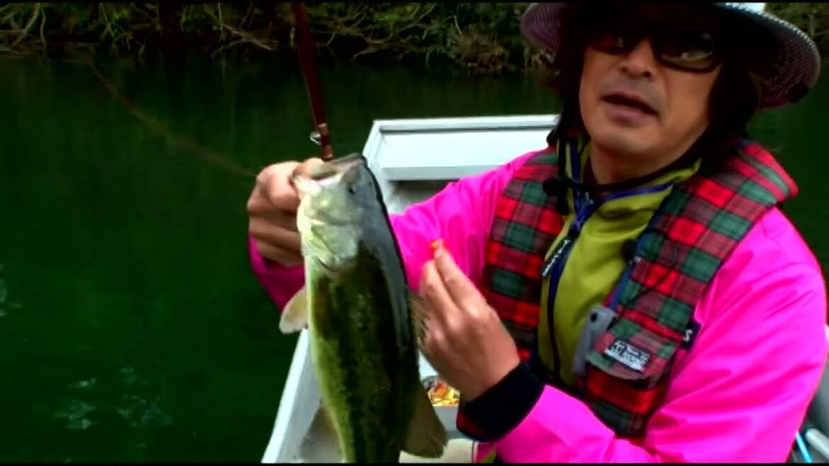 ALVAN フロッグプロダクツ 荒井謙太 Heddonマグナムトピードへの想いと機能 動きを実釣解明。グッドサイズバスキャッチ。ALVANTVチャンネル登録お願いします。