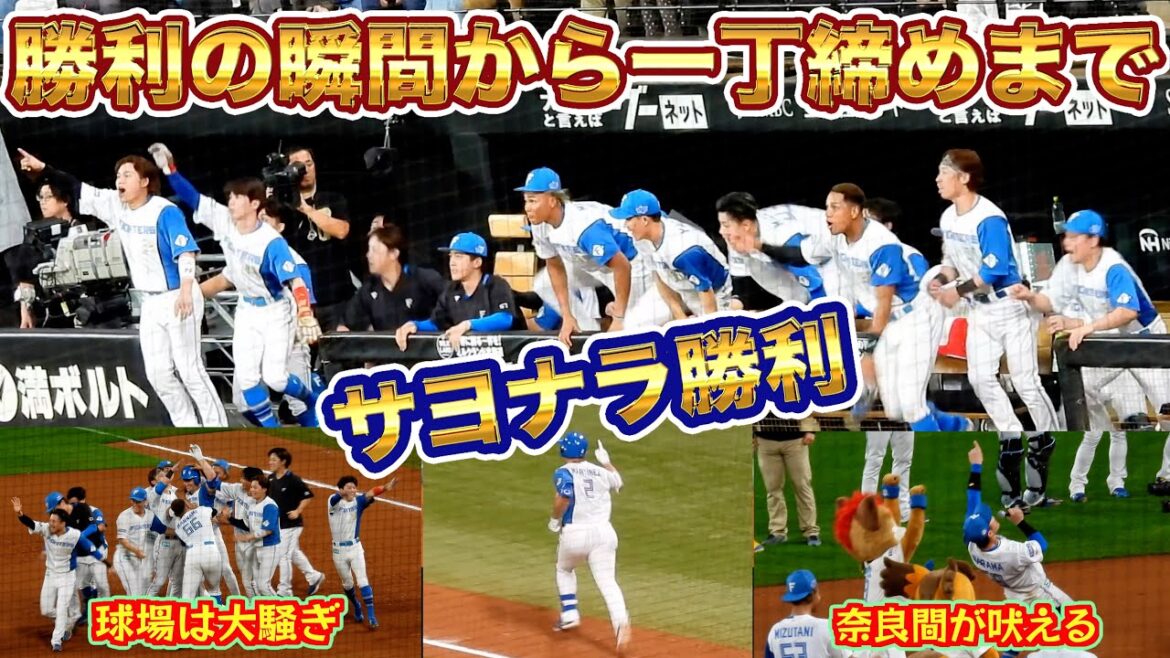 【20240928】マルティネス&ベンチのサヨナラの瞬間~一丁締めまで 【20240928】マルティネス&ベンチのサヨナラの瞬間~一丁締めまで