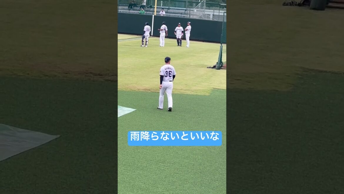 準備運動！ヤクルトスワローズ二軍