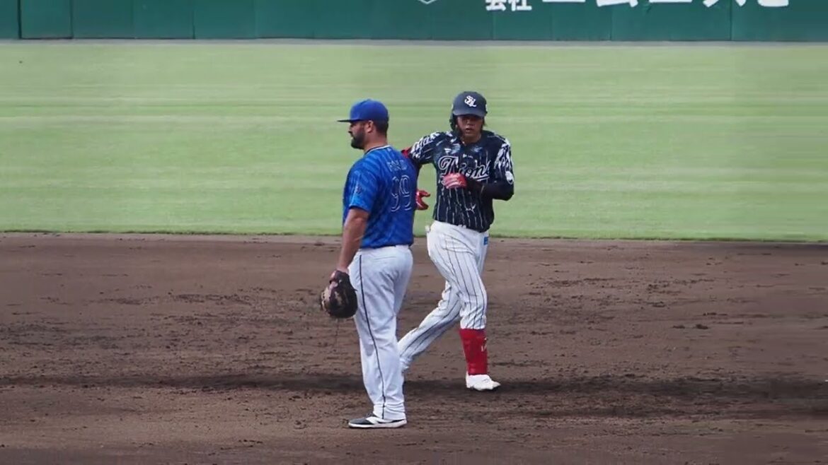 2024.09.01 埼玉西武-横浜DeNA #高木渉 打席シーン (カーミニーク)