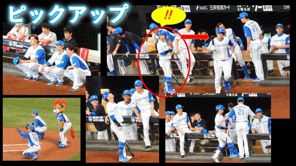 【20240928】ピックアップ動画