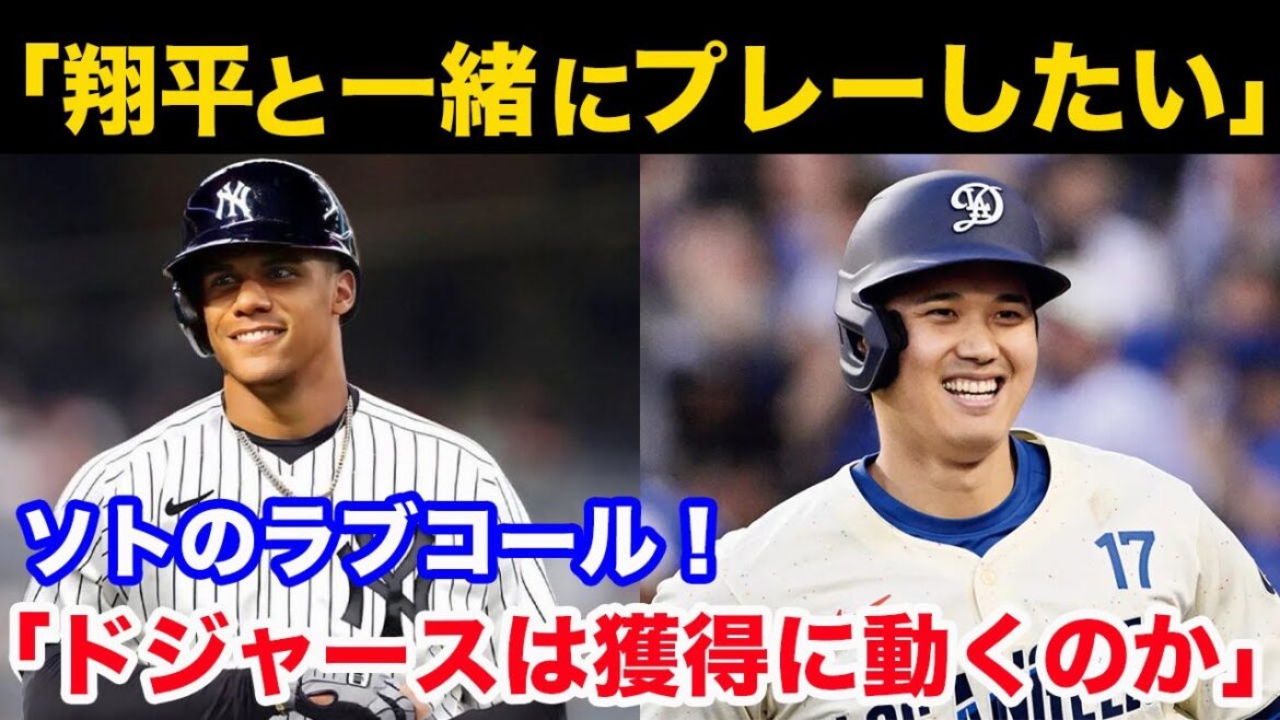 【MLB】ソトの“ラブコール”「大谷翔平と一緒にプレーしたい」 ドジャースは獲得に動くのか