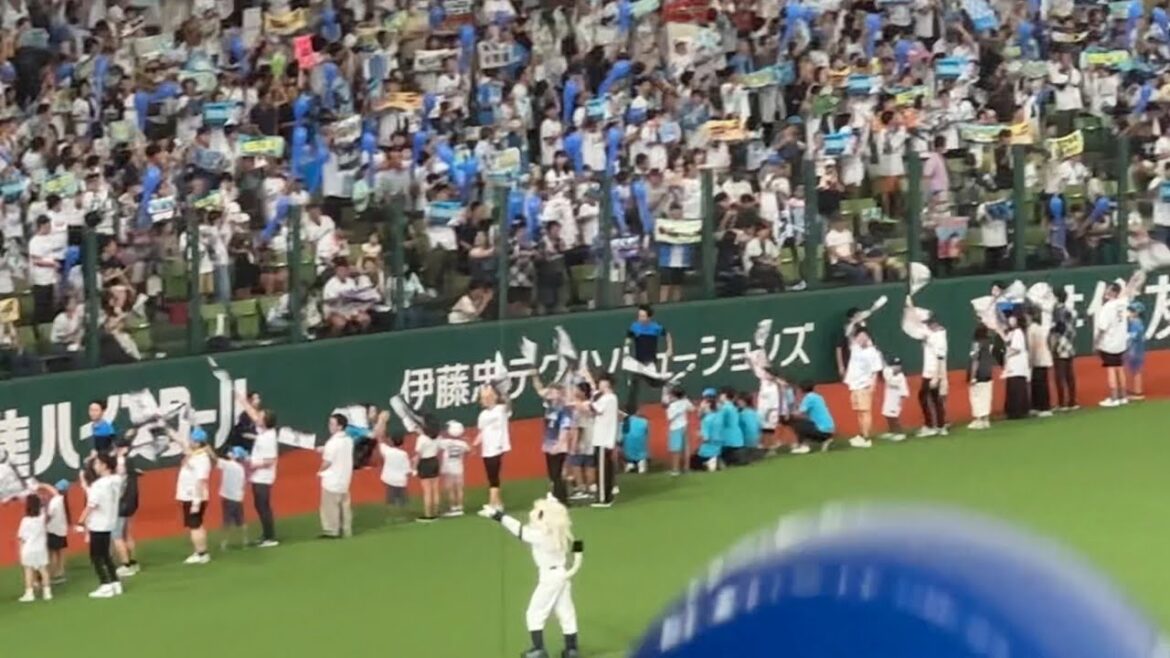 50人以上のフラッグ応援隊が参加『吠えろライオンズ』【西武vsロッテ】2024/9/28