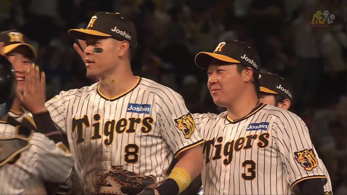 Hanshin-Tigers: 【ハイライト】阪神vsDeNA【2024/9/29T-DB】 【ハイライト】阪神vsDeNA【2024/9/29T-DB】