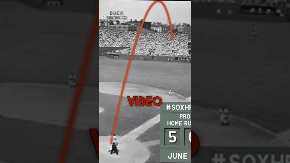 Did This Ball Go 502 Feet?