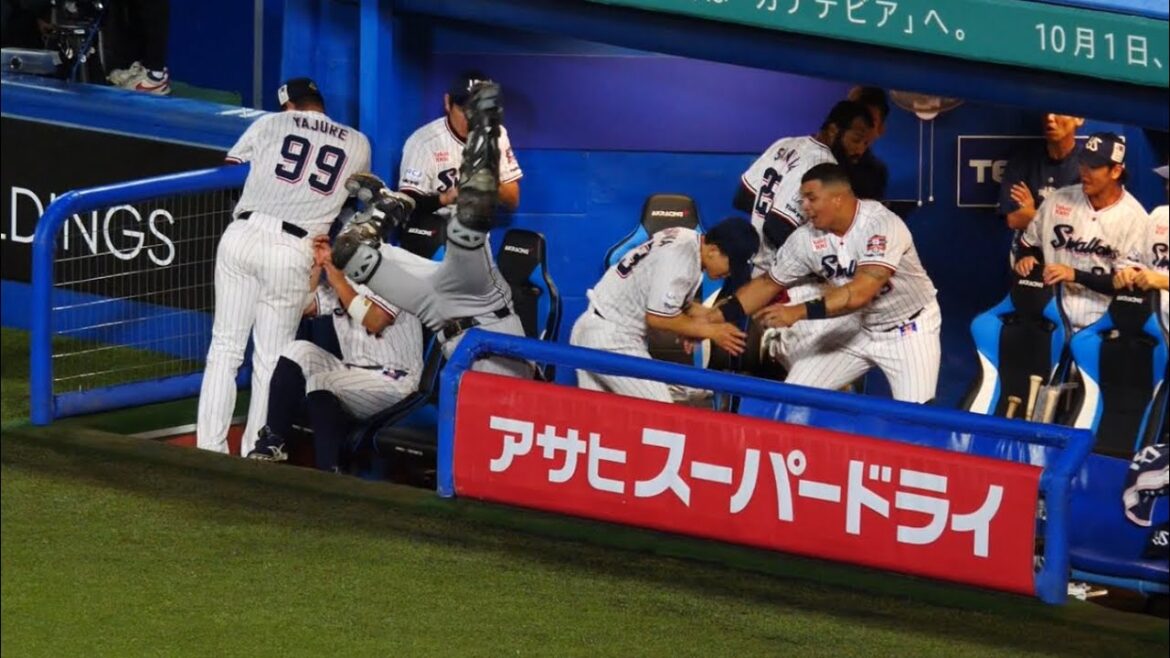 巨人・山瀬捕手　ヤクルトベンチに突っ込み選手も驚く！！　2024/9/29 vs巨人