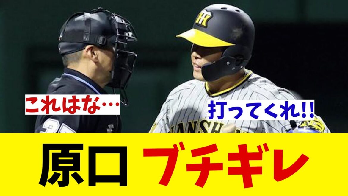 阪神・原口文仁　代打出場でブチギレ！？【野球情報】【2ch 5ch】【なんJ なんG反応】
