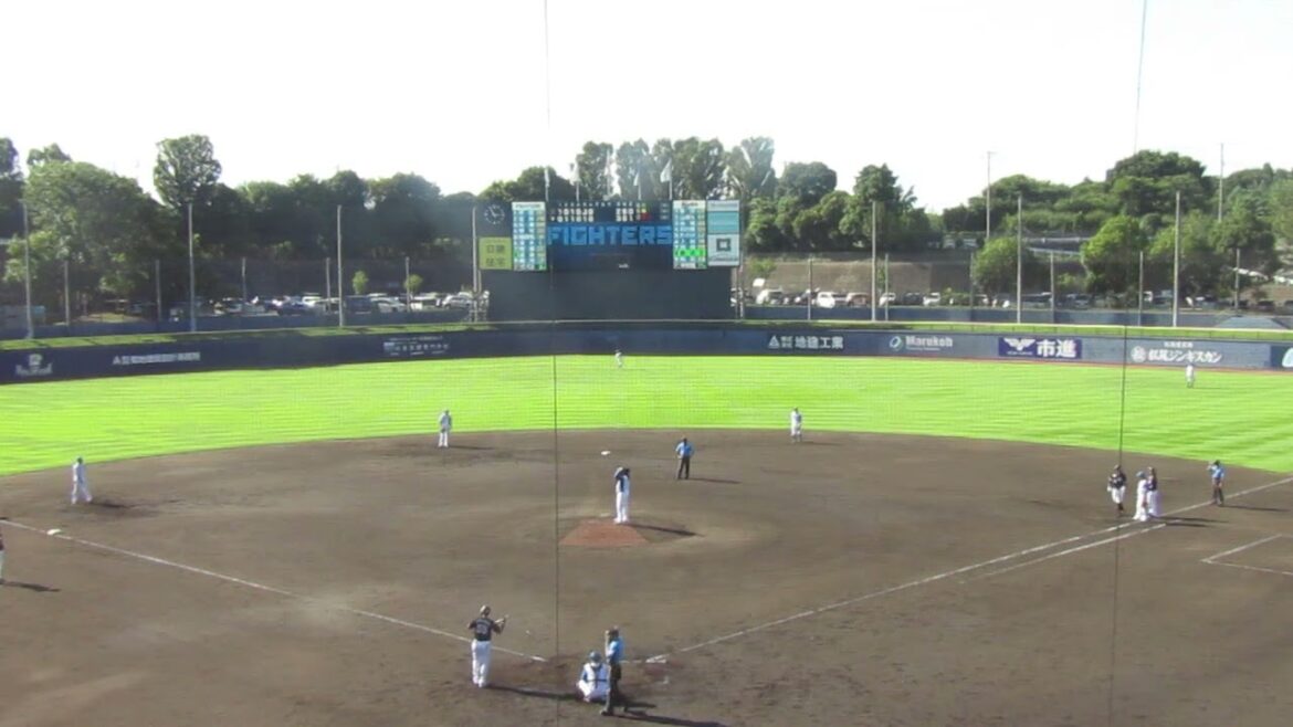 【マリーンズ】柿沼友哉がランナー置いてライトへヒットを放つ（2024年9月11日 日本ハムファイターズ 対 千葉ロッテマリーンズ 鎌ヶ谷）