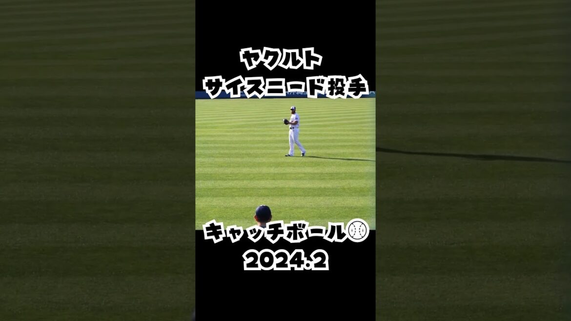 ヤクルトスワローズ サイスニード投手のキャッチボール⚾⚾⚾  #shorts #野球 #swallows #ピッチャー #キャッチボール #春季キャンプ #投球