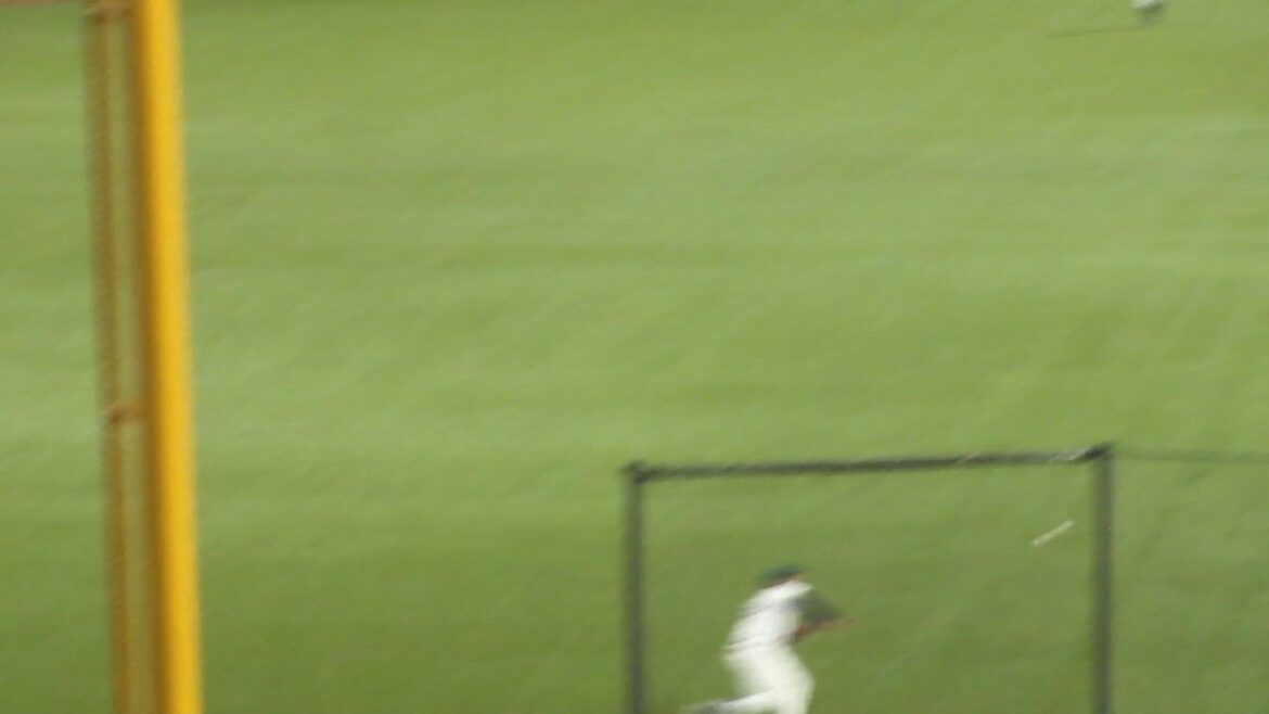 ヤクルト サンタナ ナイスプレー　ヤクルト vs 阪神　2024年9月28日(土) 神宮球場