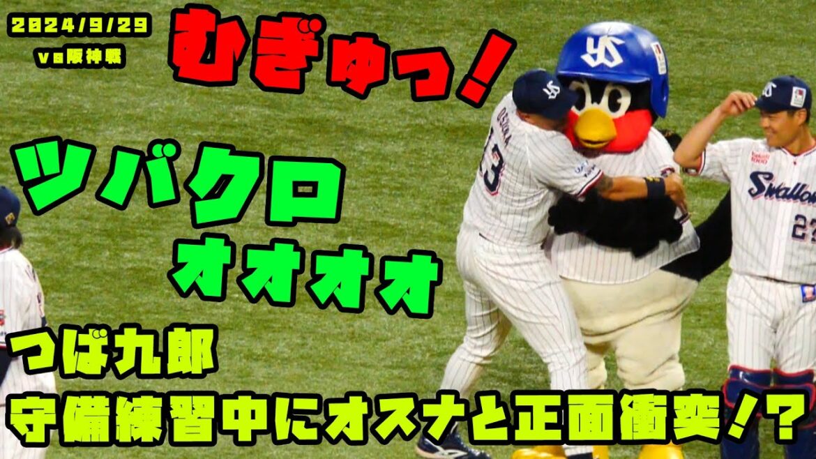 つば九郎　守備練習中にオスナと正面衝突！？　2024/9/28 vs阪神