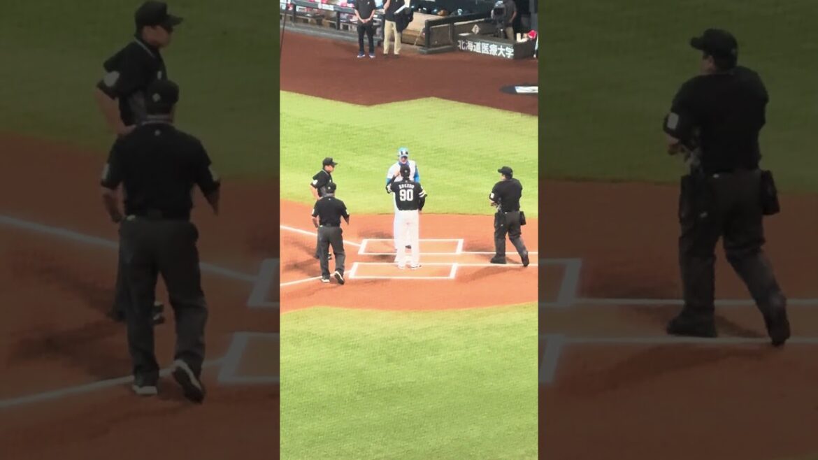 9月28日#プロ野球 #日本ハム #マルティネス #ハイタッチ #新庄監督 #小久保監督