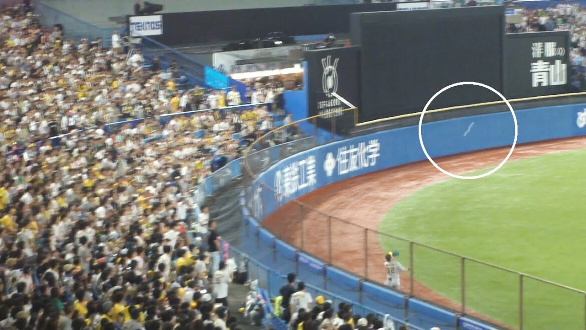 ヤクルト 内山壮真 もう少しでホームランの惜しい当たり　ヤクルト vs 阪神　2024年9月28日(土) 神宮球場