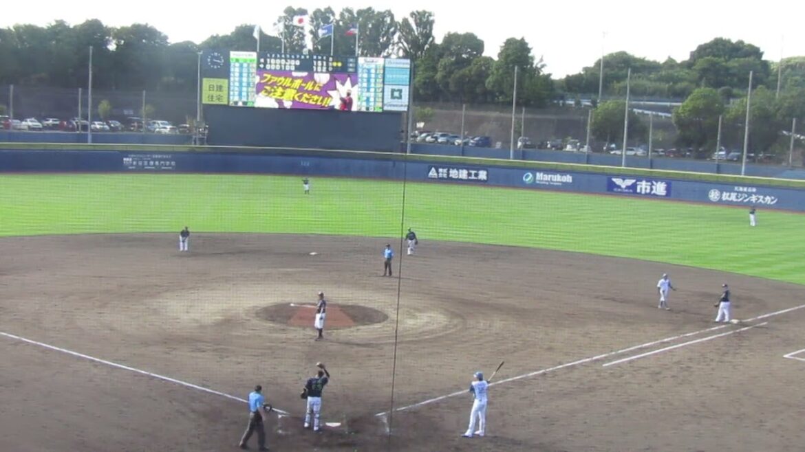 藤田大清を変化球で空振り三振にとる阪口皓亮（2024年9月4日 日本ハムファイターズ 対 ヤクルトスワローズ）