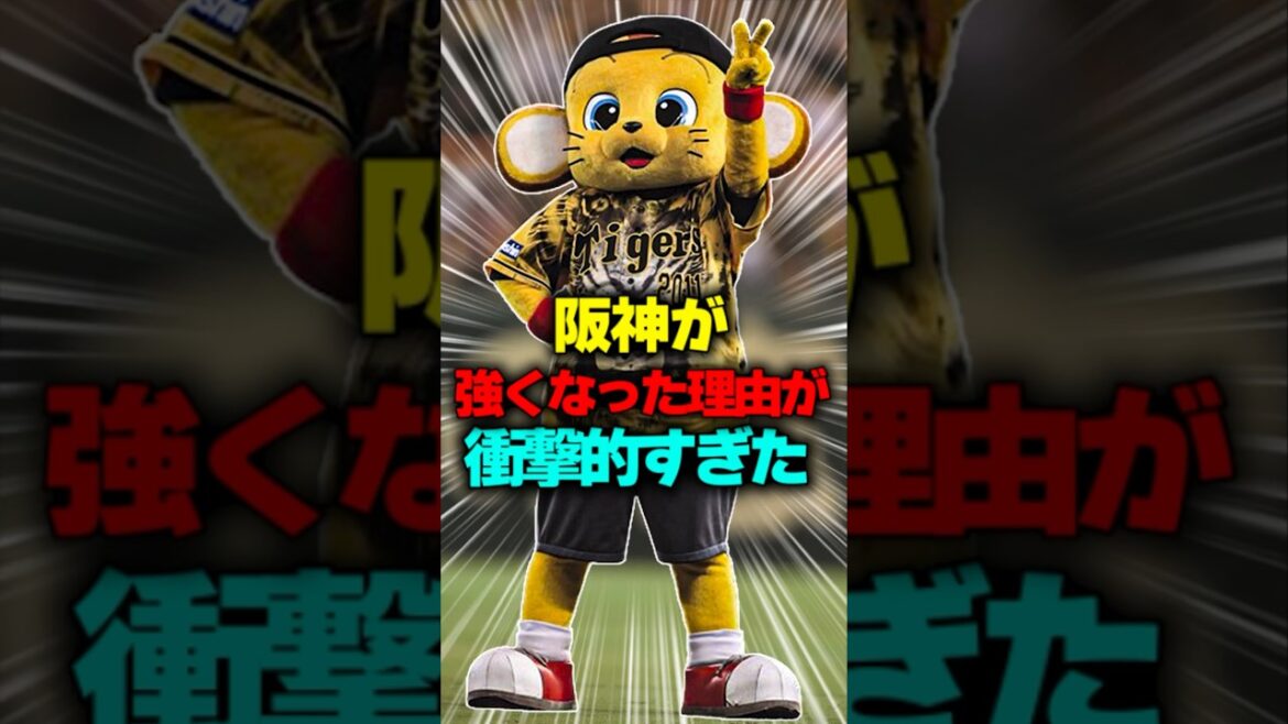 阪神が強くなった理由が衝撃的すぎた…#shorts #阪神タイガース