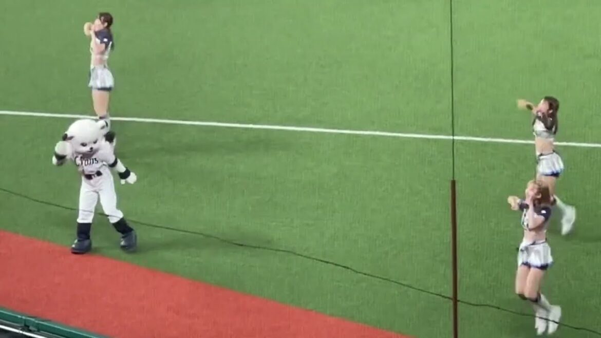 今シーズン日曜日最後の『吠えろライオンズ』【西武vsロッテ】2024/9/29 今シーズン日曜日最後の『吠えろライオンズ』【西武vsロッテ】2024/9/29