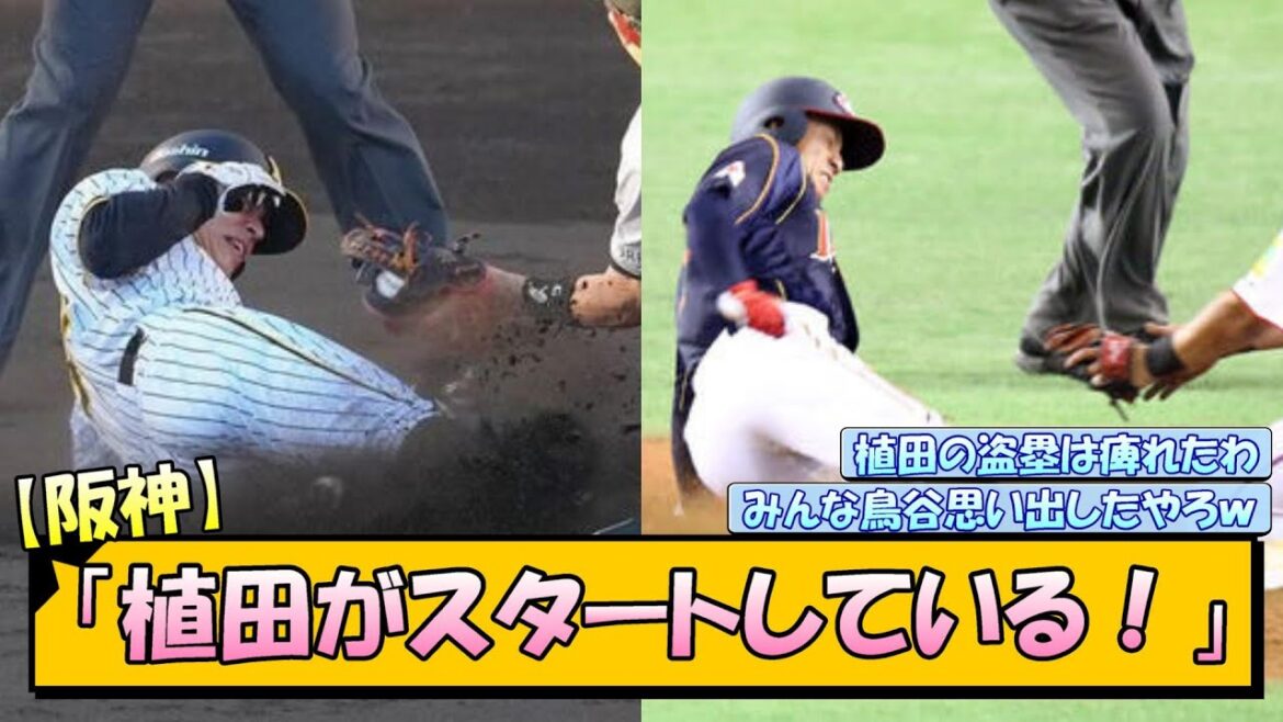 【阪神】「植田海がスタートしているう！」【なんJ/2ch/5ch/ネット 反応 まとめ/阪神タイガース/岡田監督/巨人/鳥谷敬/wbc】