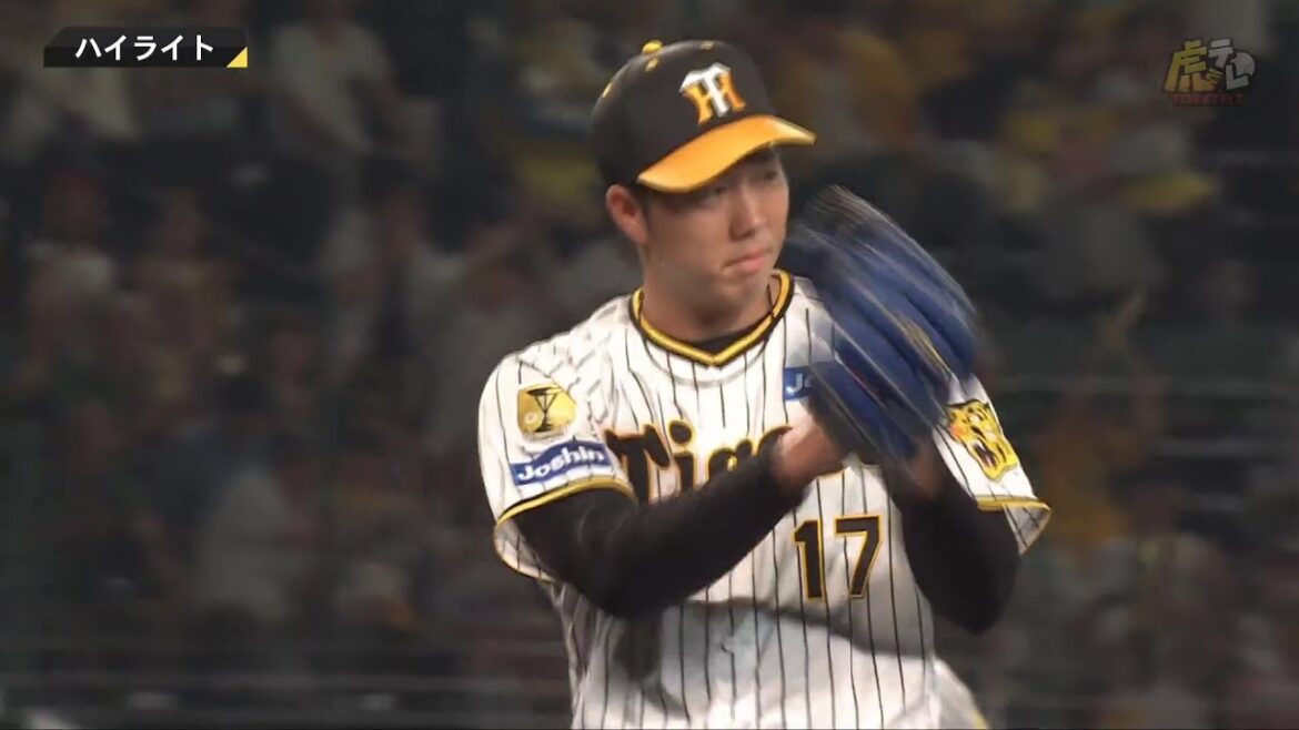 【ハイライト】阪神vsDeNA【2024/9/30Ｔ－ＤＢ】